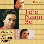 Tere Naam Se - Ustad Aslam Khan Song Download