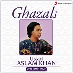 Ghazals, Vol. 1 - Ustad Aslam Khan Song Download