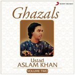 Ghazals, Vol. 2 - Ustad Aslam Khan Song Download