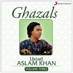 Ghazals, Vol. 3 - Ustad Aslam Khan Song Download